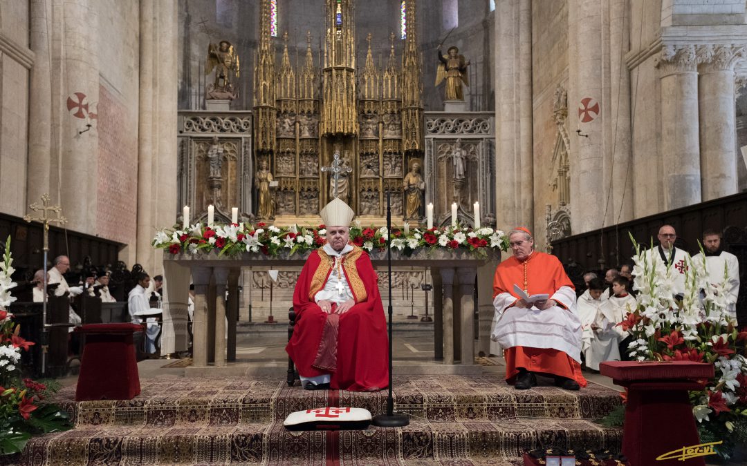 Cruzamiento Tarragona 2019