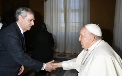 Audiencia con su Santidad el Papa Francisco a los participantes en la Consulta